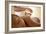 Acupuncture-Adam Gault-Framed Photographic Print