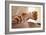 Acupuncture-Adam Gault-Framed Photographic Print