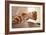 Acupuncture-Adam Gault-Framed Photographic Print