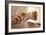 Acupuncture-Adam Gault-Framed Photographic Print