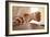 Acupuncture-Adam Gault-Framed Photographic Print