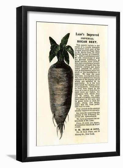Ad for Lane's Improved Imperial Sugar Beet, B.K. Bliss and Sons, New York, 1872-null-Framed Giclee Print