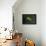 Adalia Bipunctata (Twospotted Lady Beetle) - Eggs-Paul Starosta-Framed Premier Image Canvas displayed on a wall