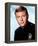 Adam-12-null-Framed Stretched Canvas