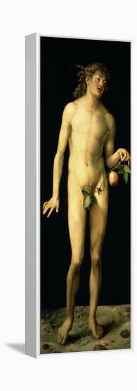 Adam, 1507-Albrecht Durer-Framed Premier Image Canvas