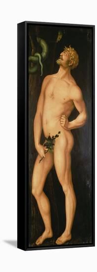 Adam, 1525-Hans Baldung Grien-Framed Premier Image Canvas