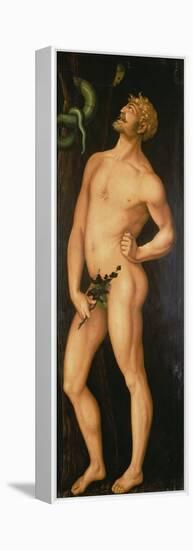 Adam, 1525-Hans Baldung Grien-Framed Premier Image Canvas
