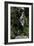 Adam, 1880-1881, Sculpture by Auguste Rodin (1840-1917)-Auguste Rodin-Framed Giclee Print