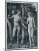 Adam and Eve, 1504 (Engraving)-Albrecht Dürer or Duerer-Mounted Giclee Print