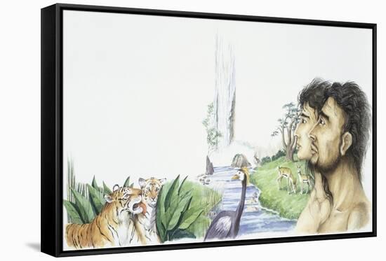 Stretched Canvas Print, , large