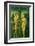 Adam and Eve-Lucas Cranach the Elder-Framed Giclee Print