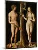 Adam and Eve-Lucas Cranach the Elder-Mounted Giclee Print