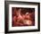 Adam and God Touching in Nebula-Mike Agliolo-Framed Photographic Print
