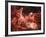 Adam and God Touching in Nebula-Mike Agliolo-Framed Photographic Print