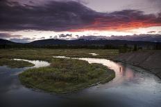 Bison in a Meadow with the Teton Mountain Range as a Backdrop, Grand Teton National Park, Wyoming-Adam Barker-Framed Photographic Print