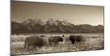 Premium Photographic Print