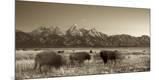 Photographic Print