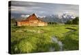 Stretched Canvas Print