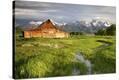 Stretched Canvas Print