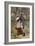 Adam Bede by George Eliot-Gordon Frederick Browne-Framed Giclee Print