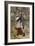 Adam Bede by George Eliot-Gordon Frederick Browne-Framed Giclee Print