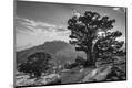Photographic Print
