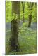 Premium Photographic Print