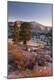 Photographic Print