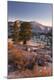 Photographic Print