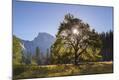 Photographic Print