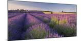 Premium Photographic Print