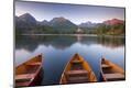 Photographic Print