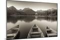 Photographic Print