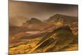 Photographic Print