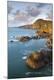 Premium Photographic Print