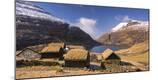 Photographic Print