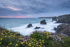 Wildflowers Growing on the Clifftops Above Bedruthan Steps on a Stormy Evening, Cornwall, England-Adam Burton-Photographic Print
