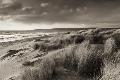 Premium Photographic Print