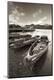 Photographic Print