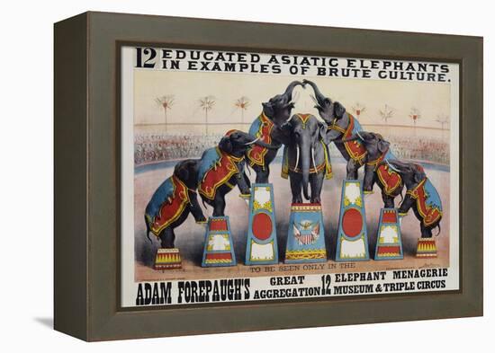 Adam Forepaugh's Great Aggregation Poster-Matt Morgan-Framed Premier Image Canvas