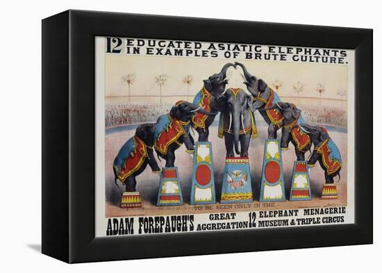 Adam Forepaugh's Great Aggregation Poster-Matt Morgan-Framed Premier Image Canvas