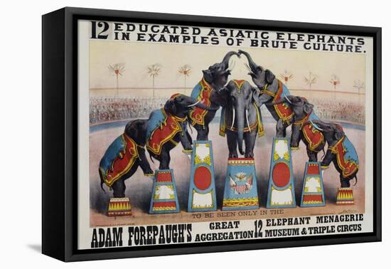 Adam Forepaugh's Great Aggregation Poster-Matt Morgan-Framed Premier Image Canvas