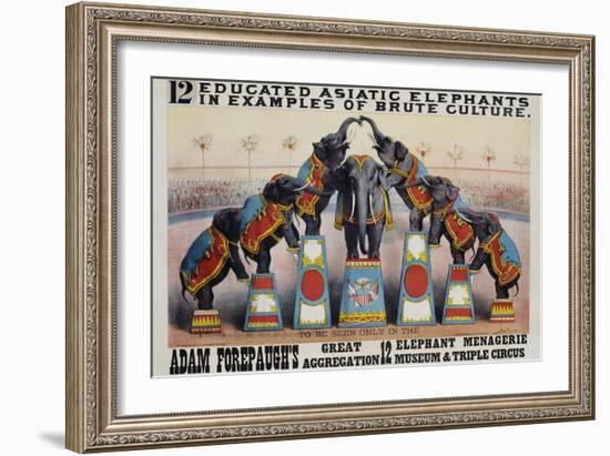 Adam Forepaugh's Great Aggregation Poster-Matt Morgan-Framed Giclee Print