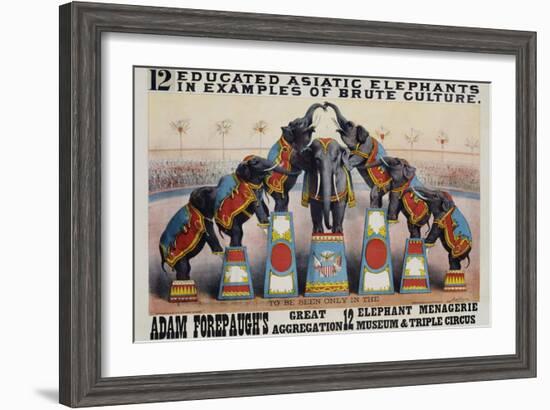 Adam Forepaugh's Great Aggregation Poster-Matt Morgan-Framed Giclee Print