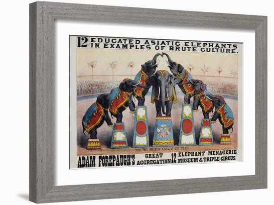 Adam Forepaugh's Great Aggregation Poster-Matt Morgan-Framed Giclee Print