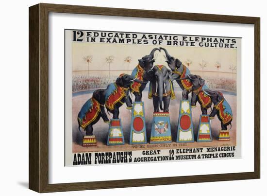 Adam Forepaugh's Great Aggregation Poster-Matt Morgan-Framed Giclee Print