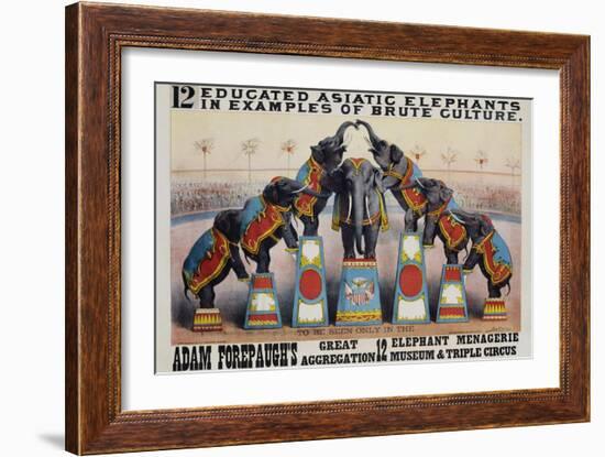 Adam Forepaugh's Great Aggregation Poster-Matt Morgan-Framed Giclee Print