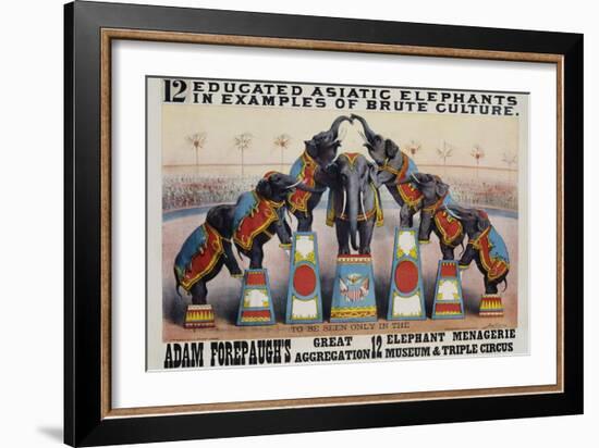 Adam Forepaugh's Great Aggregation Poster-Matt Morgan-Framed Giclee Print