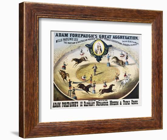 Adam Forepaugh's Great Aggregation Poster-null-Framed Giclee Print