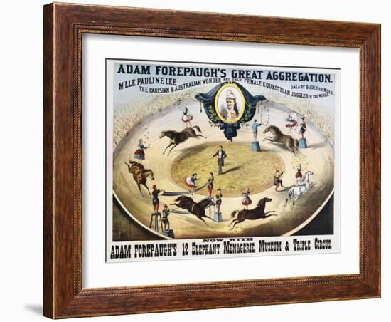 Adam Forepaugh's Great Aggregation Poster-null-Framed Giclee Print